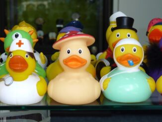 Row of rubber ducks in different hats